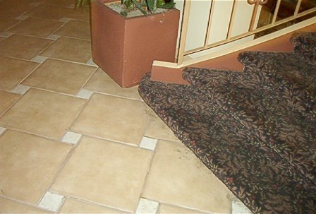 joe_and_sarai (93).jpg